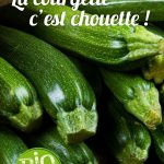 la courgette c'est chouette - Fort & Vert