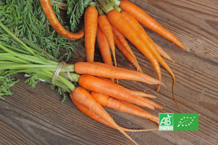 Botte de carottes bio avec fanes sur une planche en bois, avec logo AB