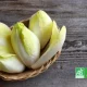 Endives bio dans un panier en osier sur une table en bois, avec logo AB