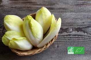 Endives bio dans un panier en osier sur une table en bois, avec logo AB