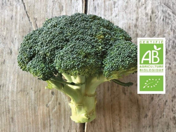 Brocoli bio label - Fort & Vert