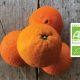 Orange bio label - Fort & Vert