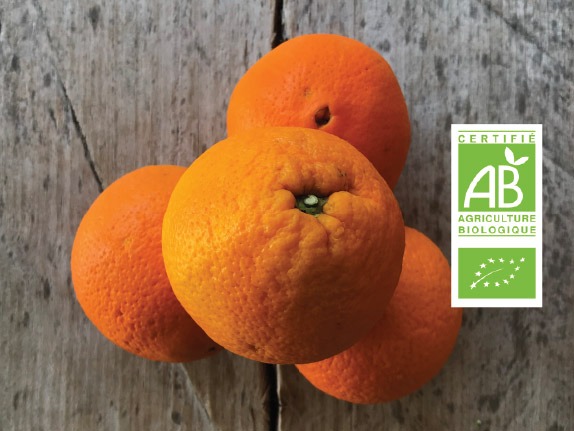 Orange bio label - Fort & Vert