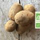 Pomme de terre bio label - Fort & Vert