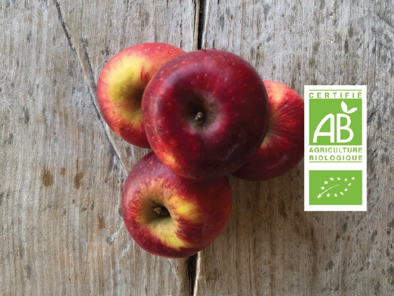 Pomme bio label - Fort & Vert