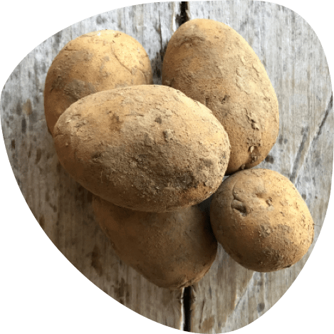 Pommes de terre bio - Fort & Vert