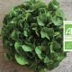 Salade bio - Fort & Vert