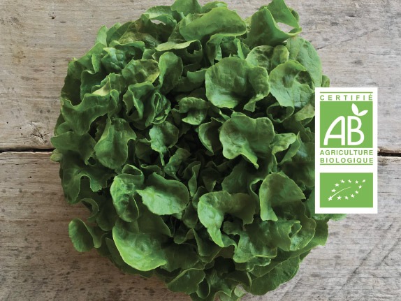 Salade bio - Fort & Vert