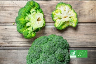 Têtes de brocoli bio entières et coupées sur une planche en bois, avec logo AB