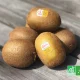 Kiwis Zespri bio posés sur une table en bois avec le label AB visible.
