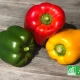 Poivrons bio rouges, jaunes et verts posés sur une table en bois avec le label AB.