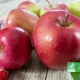 Pommes bio rouges sur une table en bois, avec logo AB