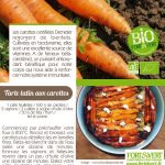 Fiche recette bio Tarte tatin carottes