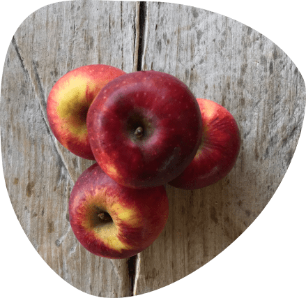 Pomme bio - Fort & Vert