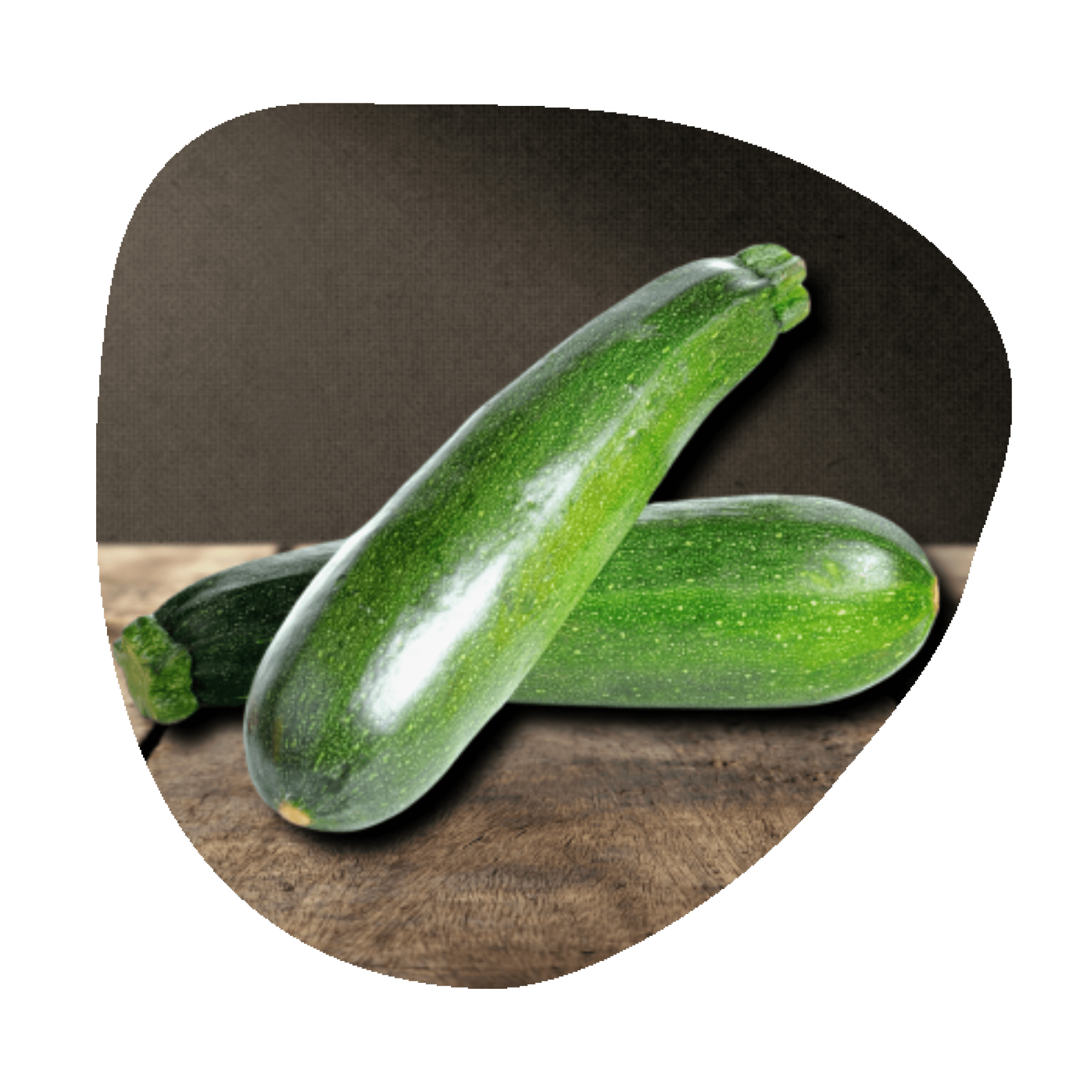 courgette-longue-bio