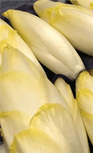 ENDIVE-RECETTE