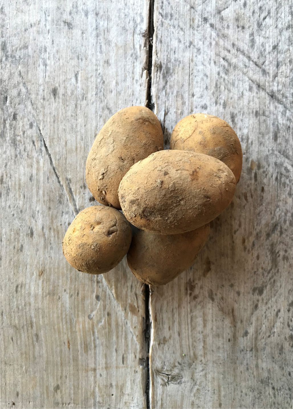 pommes-de-terre-primeur-bio