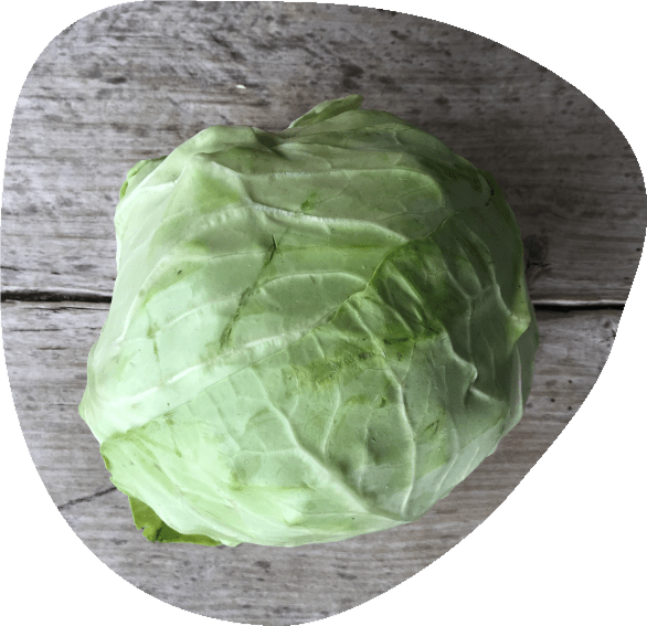 chou-blanc-bio