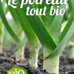 poireau recette fondue bio