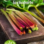 rhubarbe recette bio