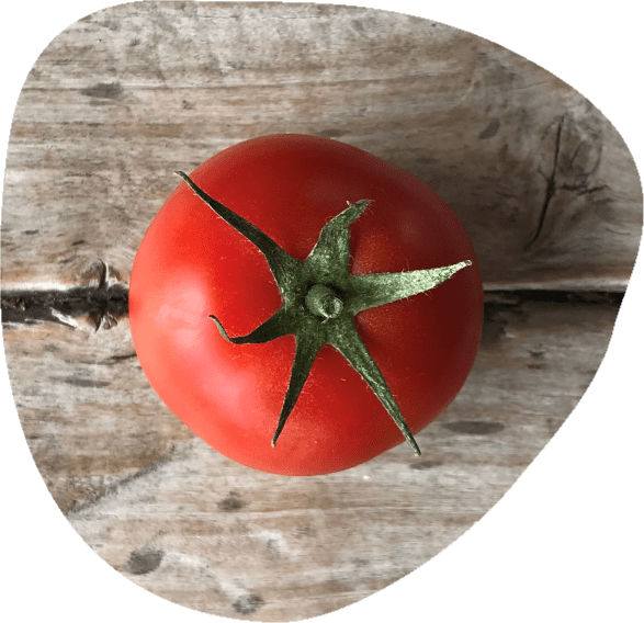 tomate-bio-pdt
