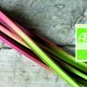 rhubarbe-bio