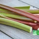 Tiges de rhubarbe bio posées sur un fond en bois, avec logo AB