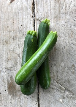 courgette-bio