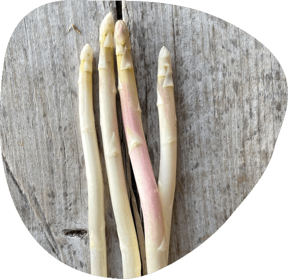 asperge-bio-fort-et-vert