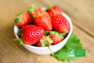 Bol de fraises bio sur une feuille verte, avec logo agriculture biologique